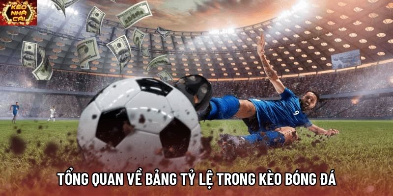 Tổng quan về bảng tỷ lệ trong kèo bóng đá